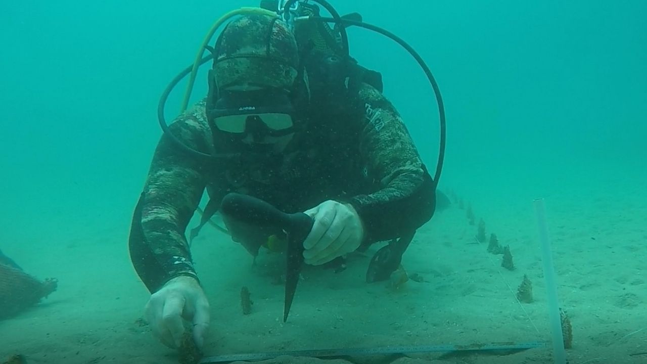 Bir Başlık Ekleyin (1)-528