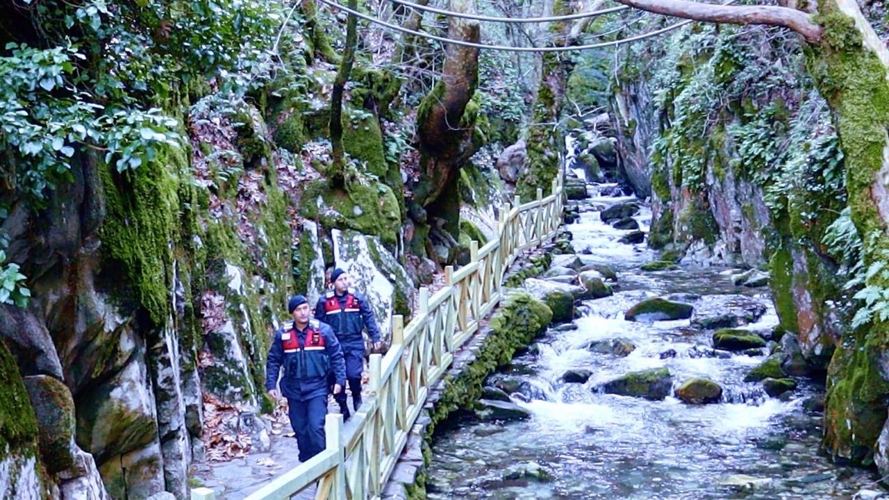 Bir Başlık Ekleyin (1)-541