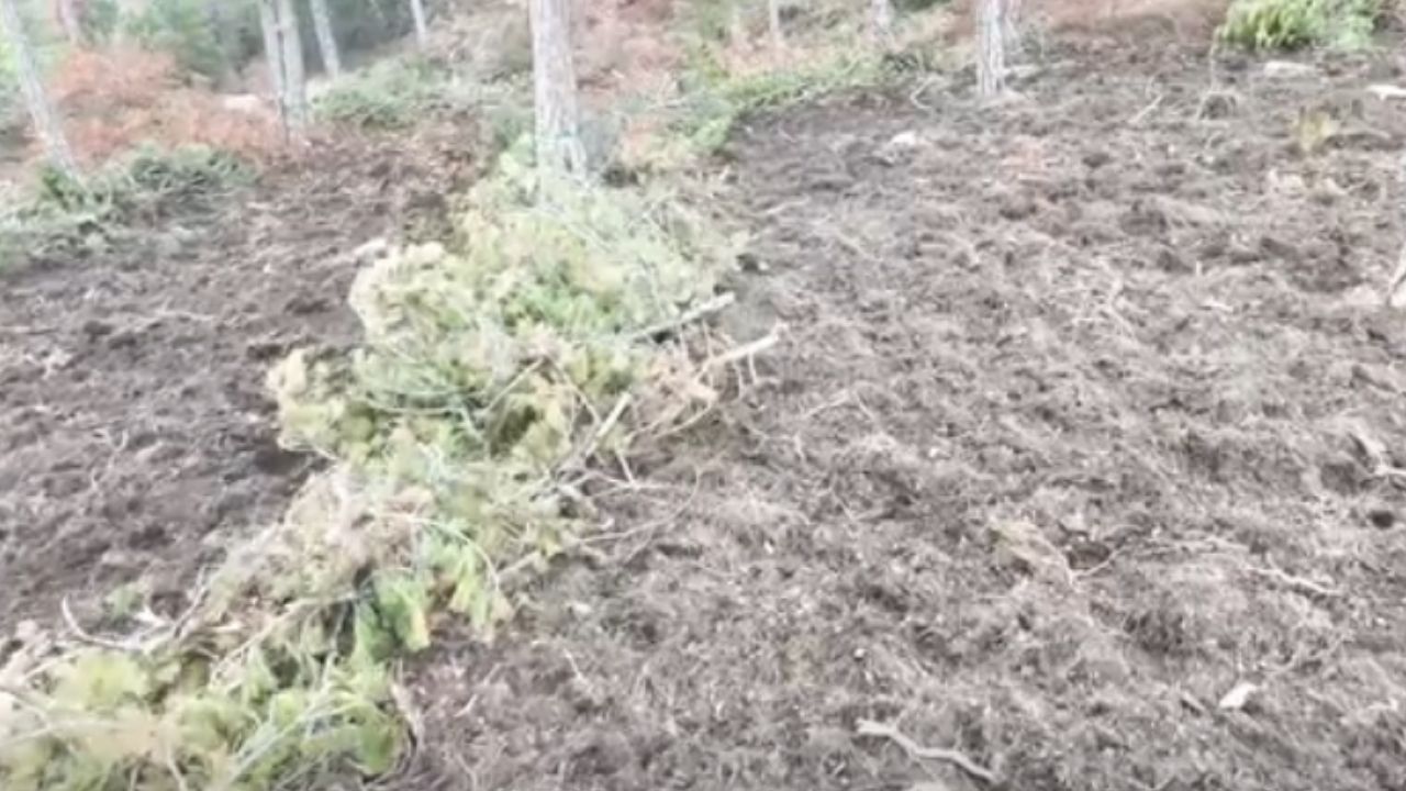 Bir Başlık Ekleyin (1)-548