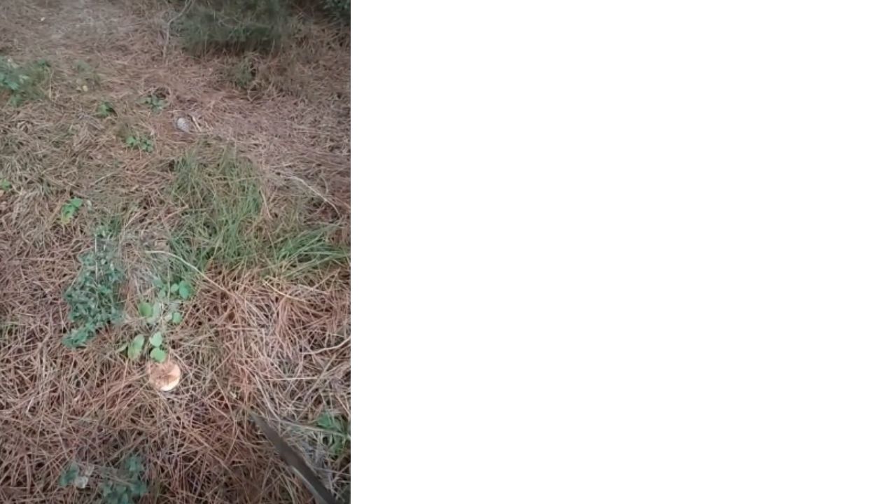 Bir Başlık Ekleyin-1255