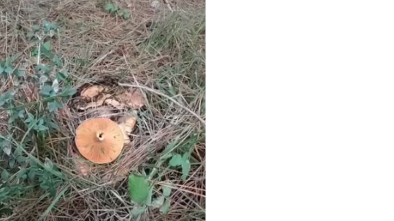 Bir Başlık Ekleyin (2)-387