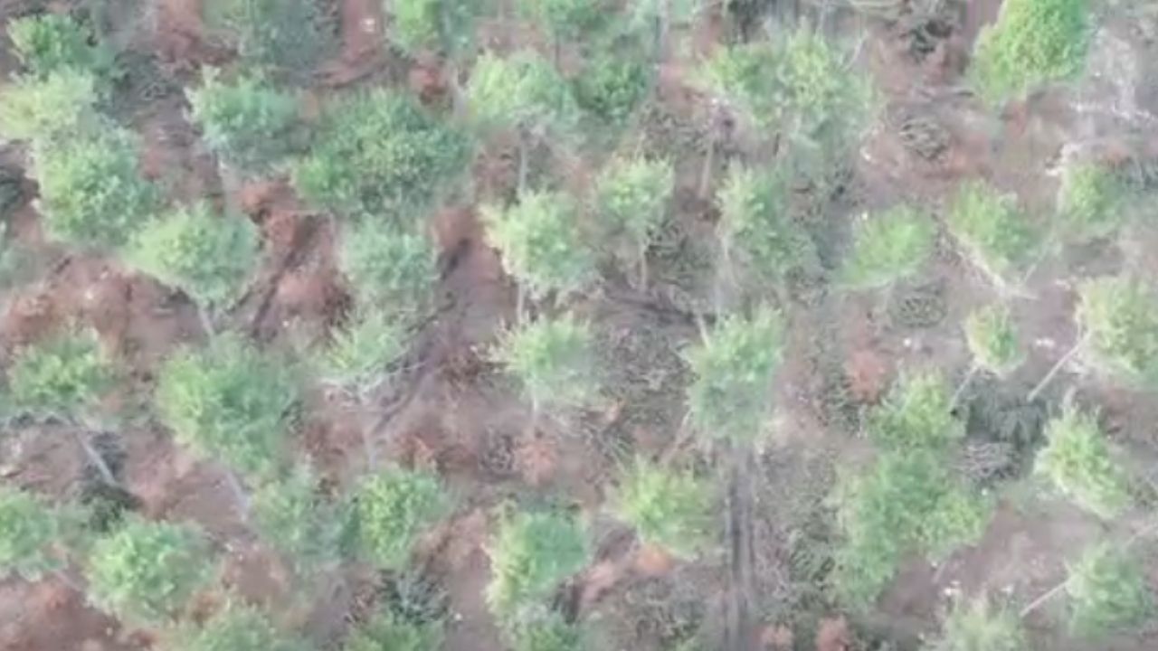 Bir Başlık Ekleyin (2)-393