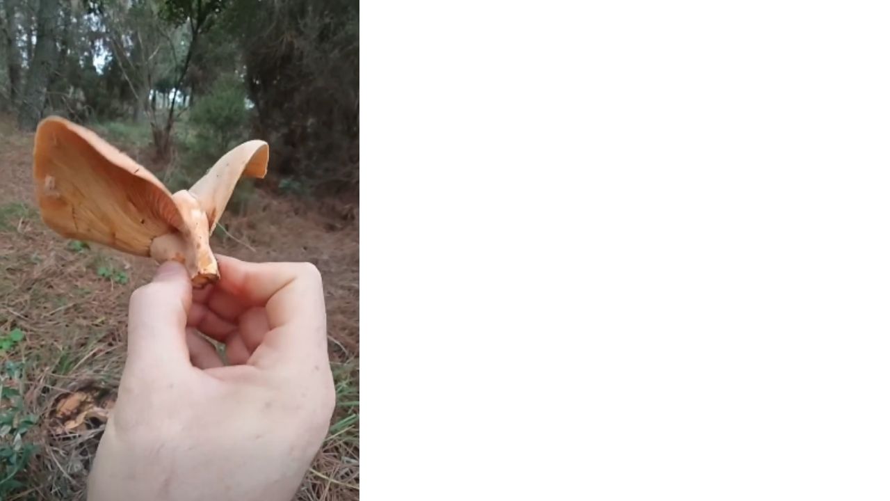 Bir Başlık Ekleyin (3)-309