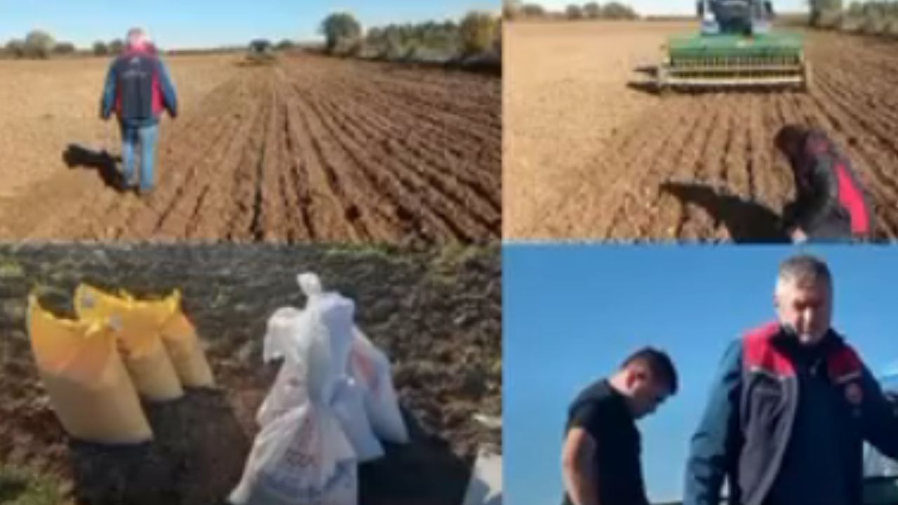 Bir Başlık Ekleyin (4)-255