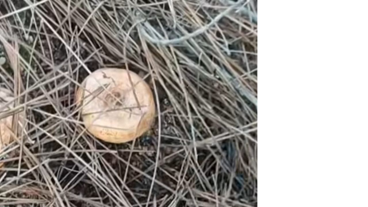 Bir Başlık Ekleyin (4)-256