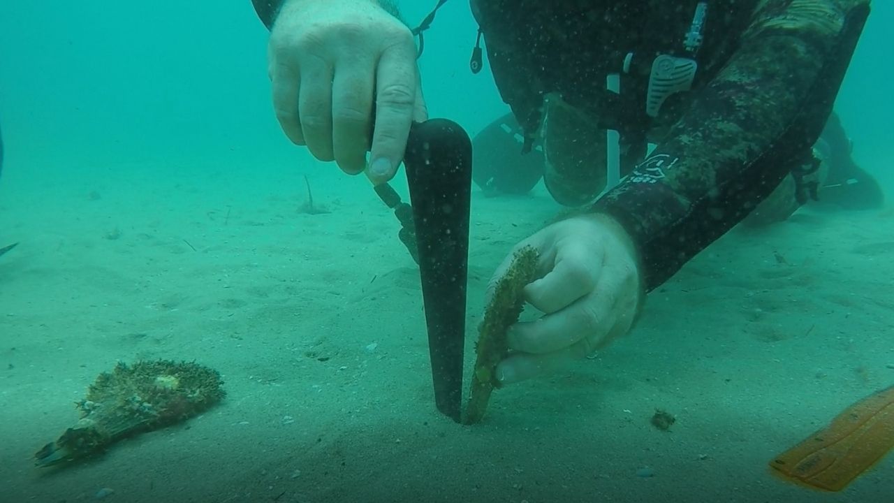 Bir Başlık Ekleyin (4)-258