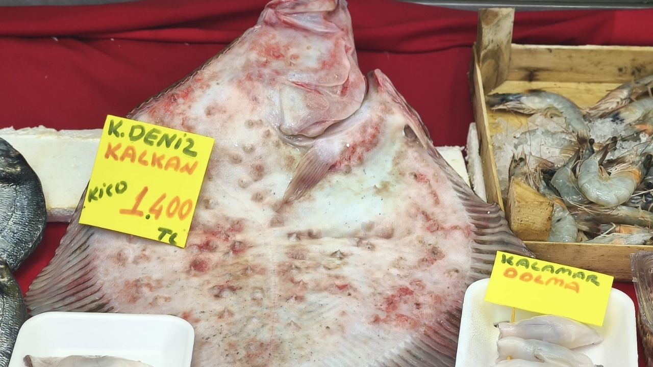 Bir Başlık Ekleyin (4)-268