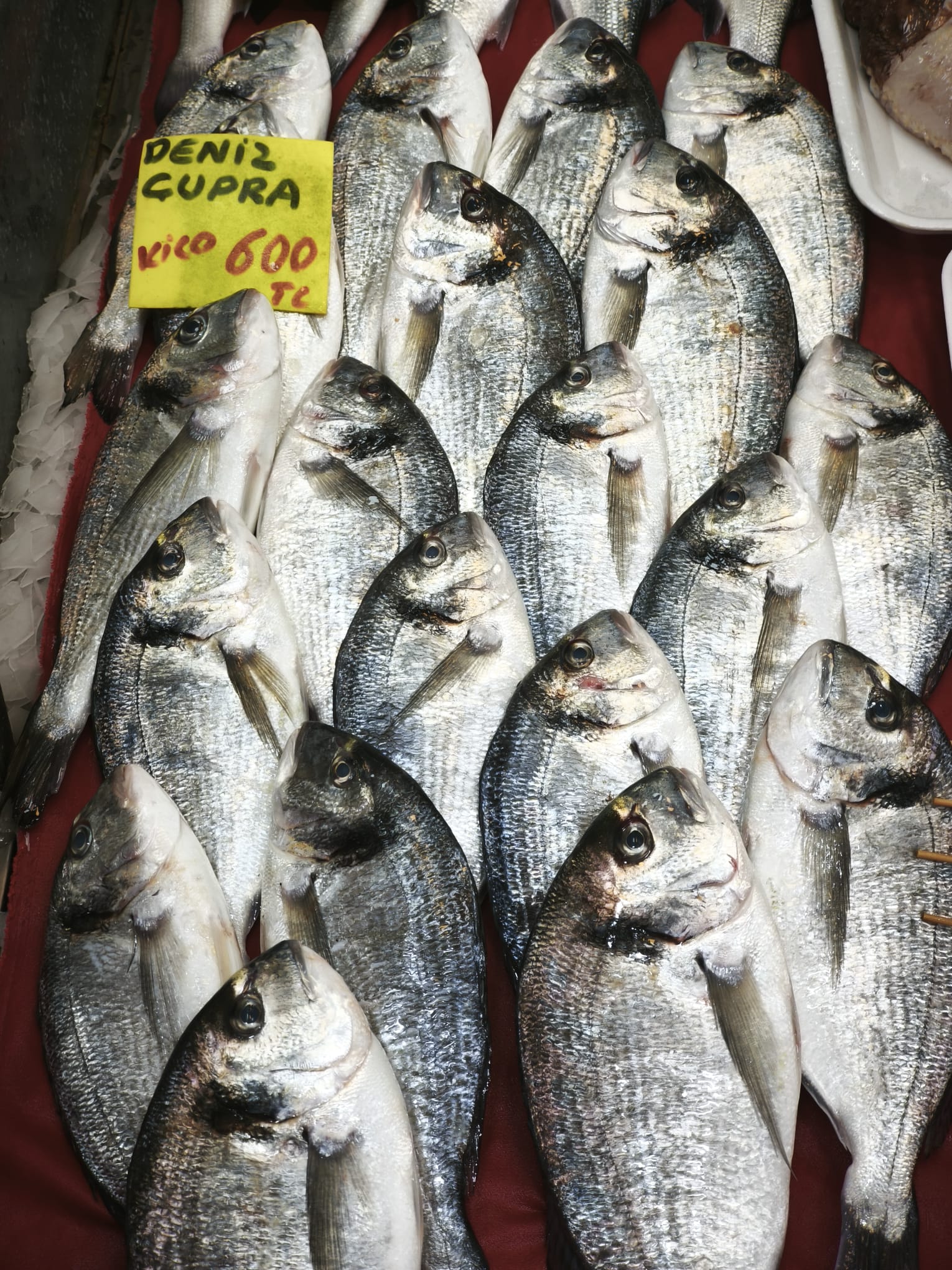 D4D4B36B 138D 48D1 Ab5C E79354Eac923