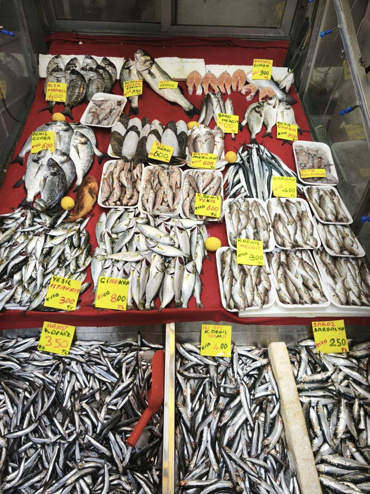 E3C064C0 A96E 48E4 B714 0B4477F79E51