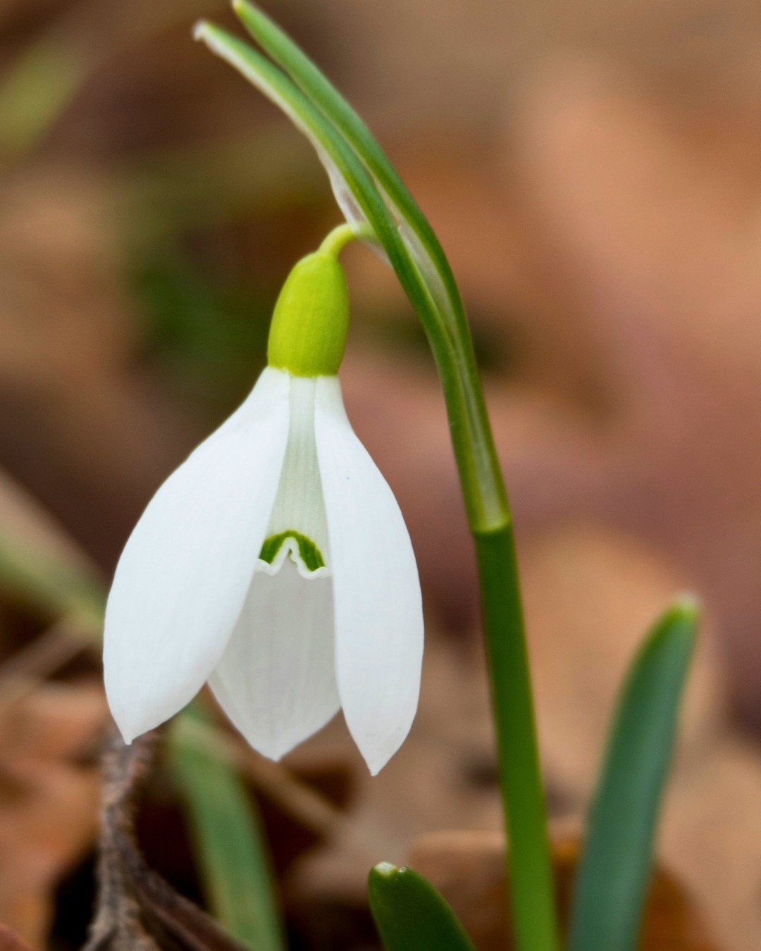 E67Df95B 6614 46B9 97C9 8Cf01099B88F