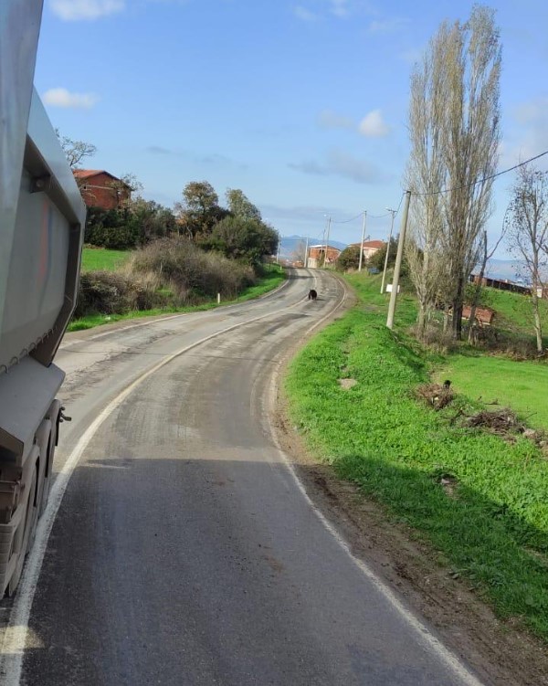 Ekran Görüntüsü 2025 12 01 145315