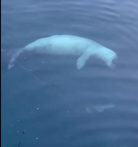 Ekran Görüntüsü 2025 12 16 121651