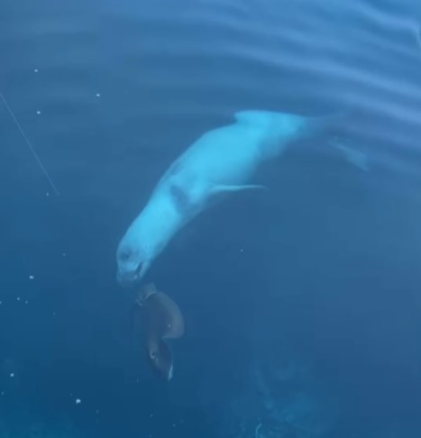 Ekran Görüntüsü 2025 12 16 121750