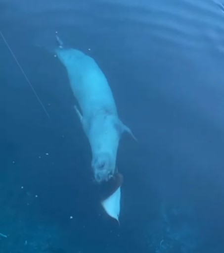 Ekran Görüntüsü 2025 12 16 121806