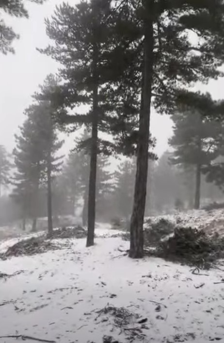 Ekran Görüntüsü 2025 12 28 180136