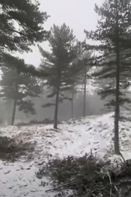 Ekran Görüntüsü 2025 12 28 180232