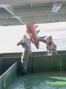 Ekran Görüntüsü 2025 12 30 110250