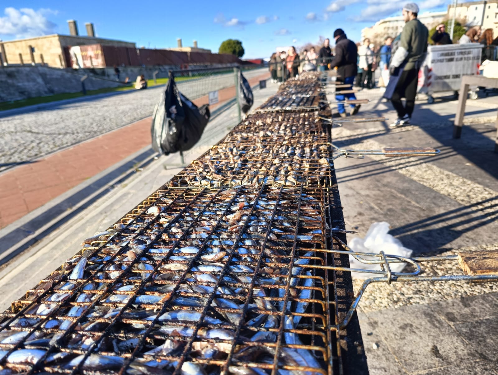 Whatsapp Image 2025 12 14 At 15.31.26