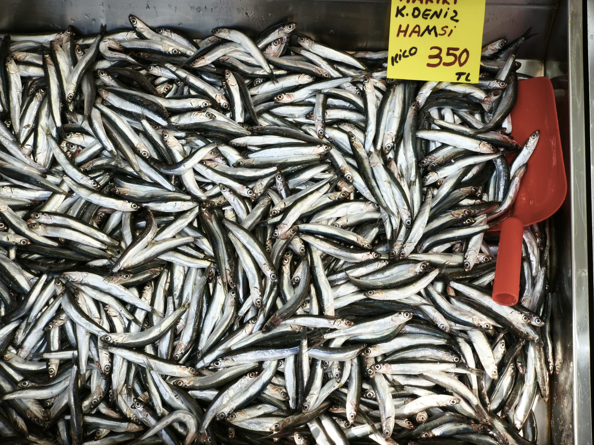 0D37Eb27 58B3 46B3 8B9C E8B10F1205D2