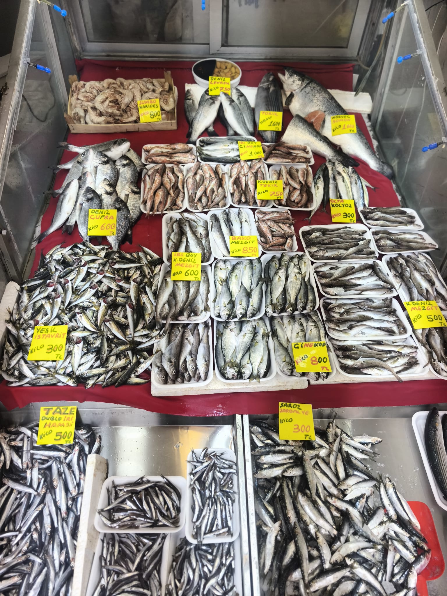 1E8B86C5 E498 495E B256 924B9F18Cd98