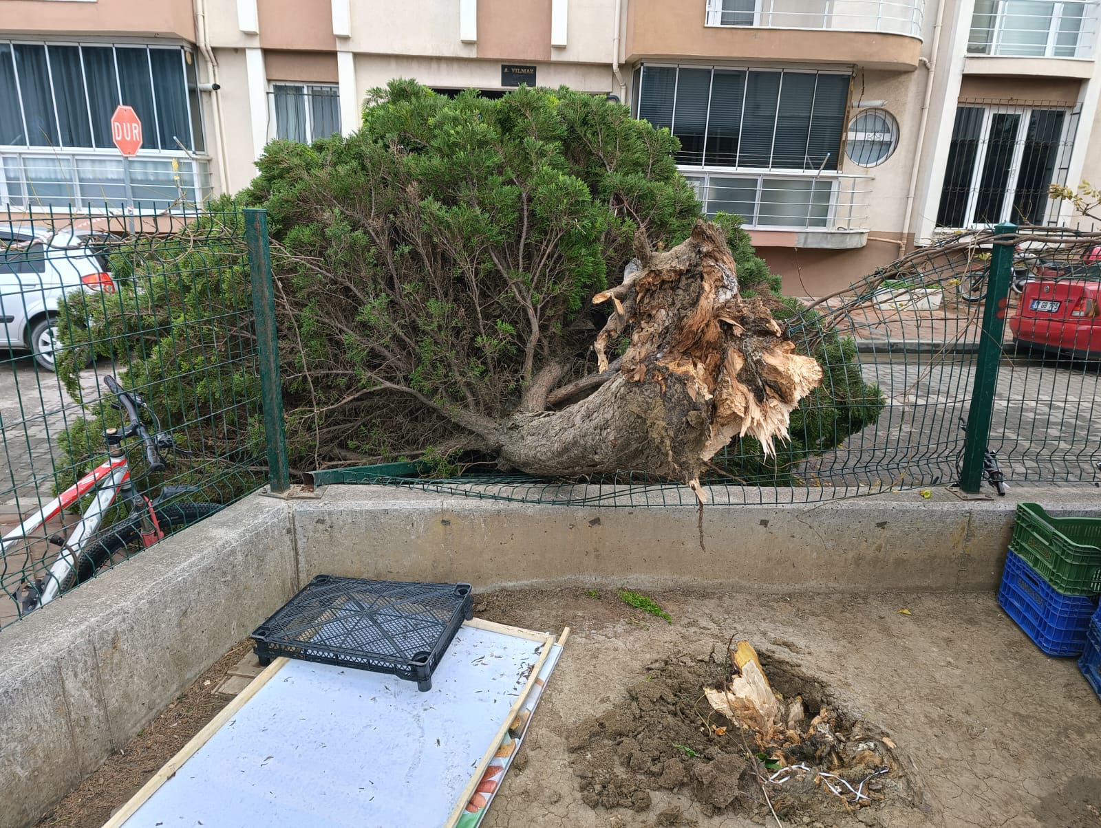 317Df1F4 7686 43Ff 9E05 40Ebff97Fe70-1