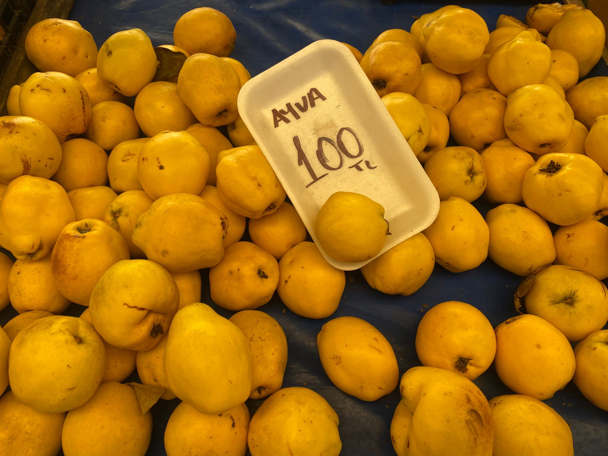 33Fc72A6 Fe75 463C 9747 9917D4Dfc7Dd