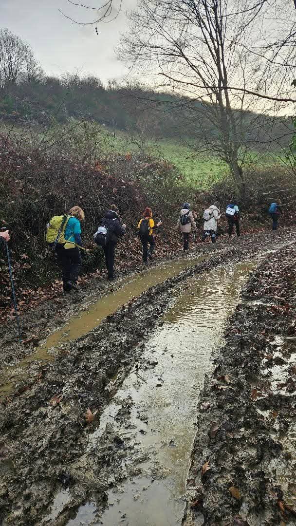 3B07C67C 1Bfd 4D91 A46B Eebd18399E17