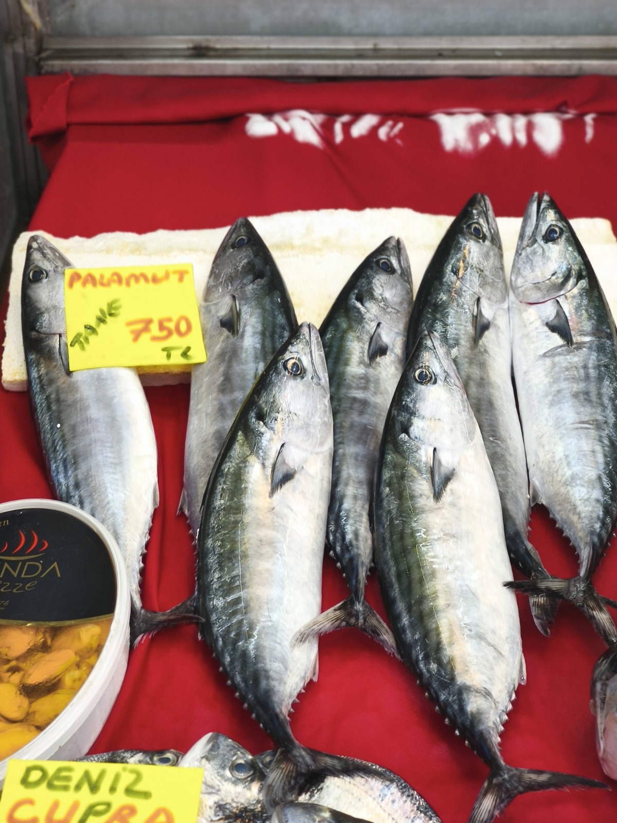 440B4031 58B5 402D 94E5 Bac94471610E