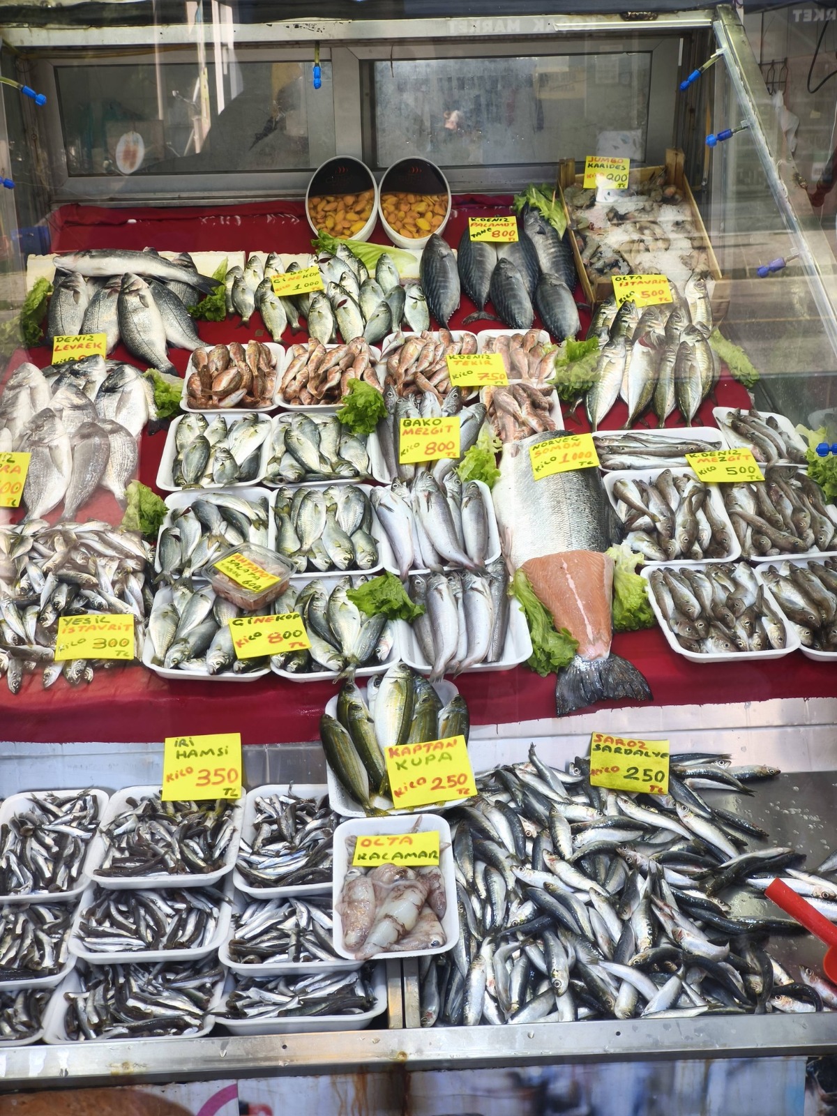 440Ec081 871F 46F4 B358 B4E275295Ec7