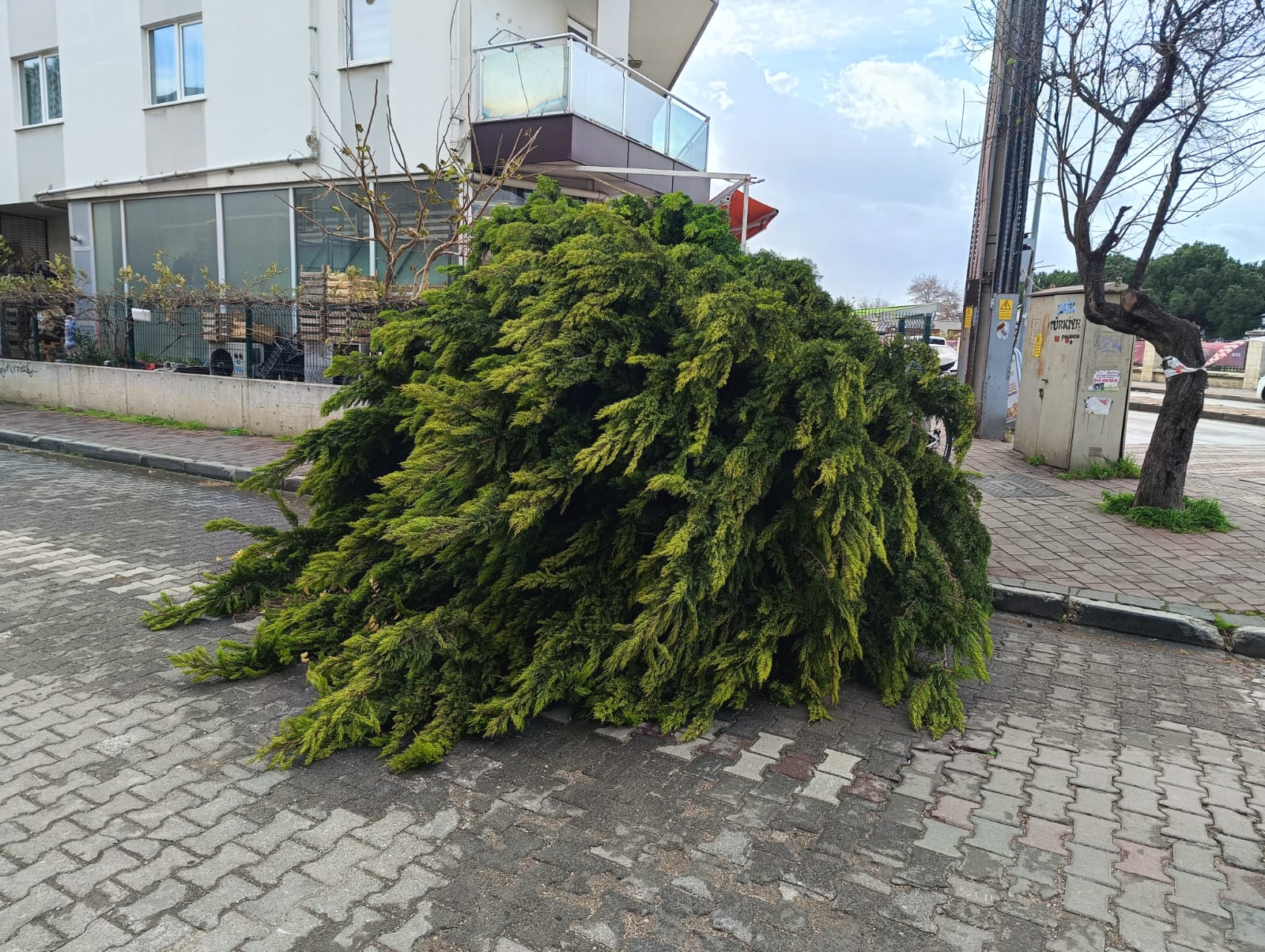 601D015C 1005 4A84 A97A C1707540F1F1