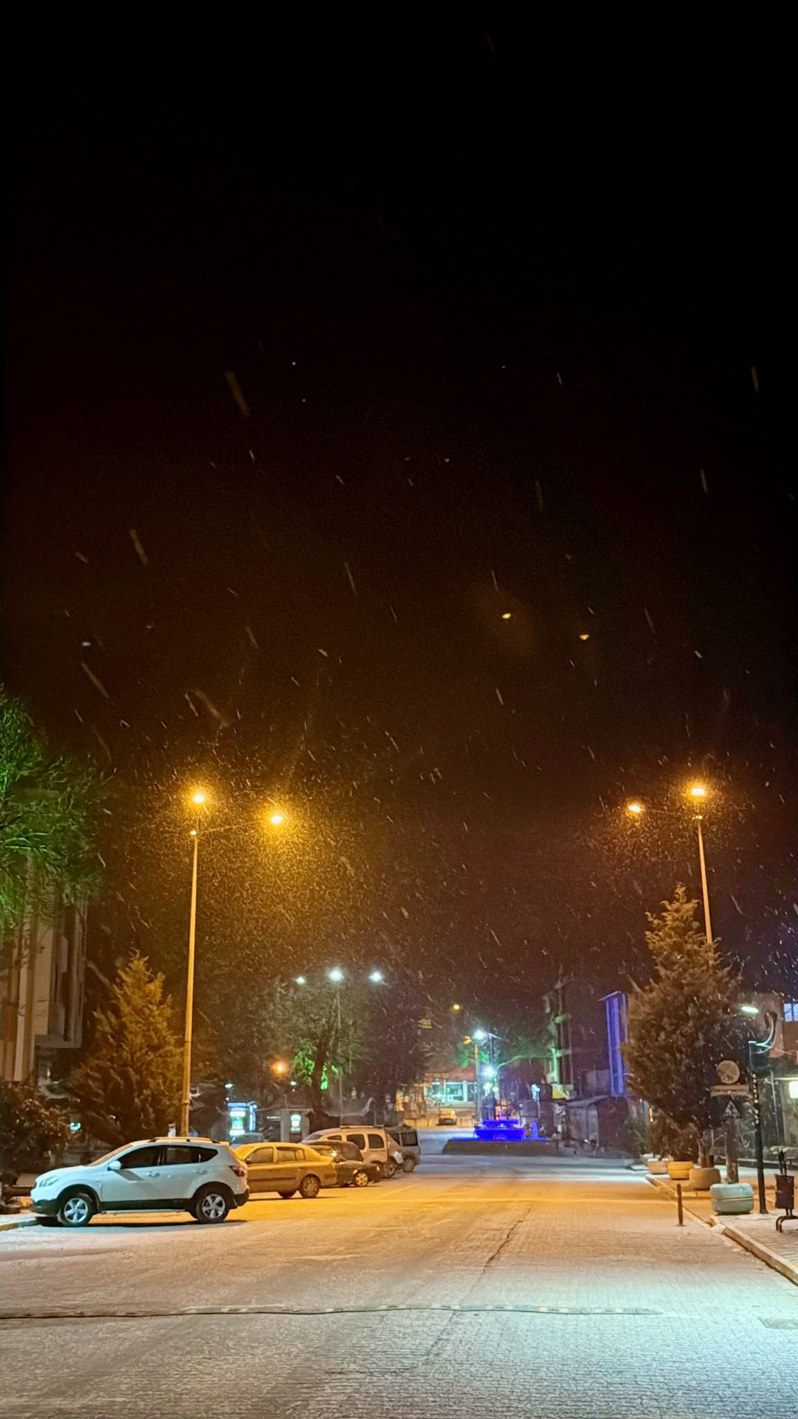 605533572 1290057136491023 5908575347188365594 N