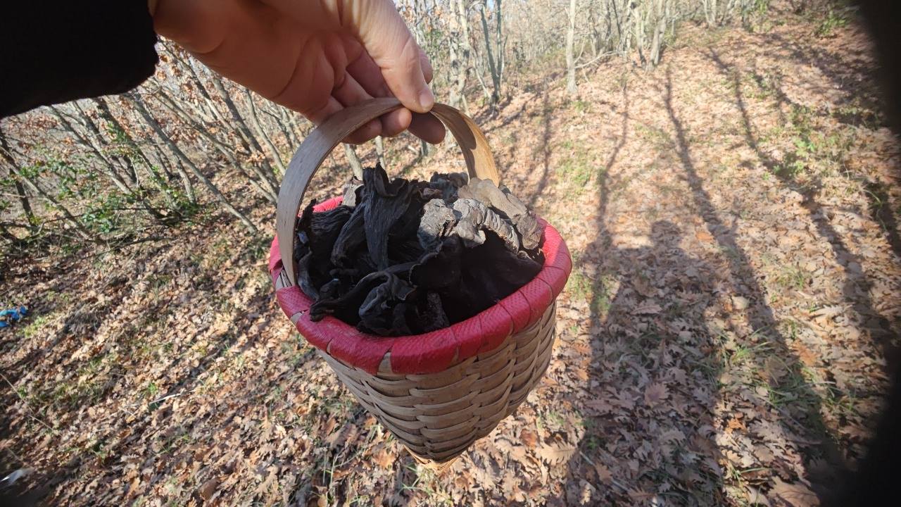 605787866 10226463053957451 2960398868656799223 N