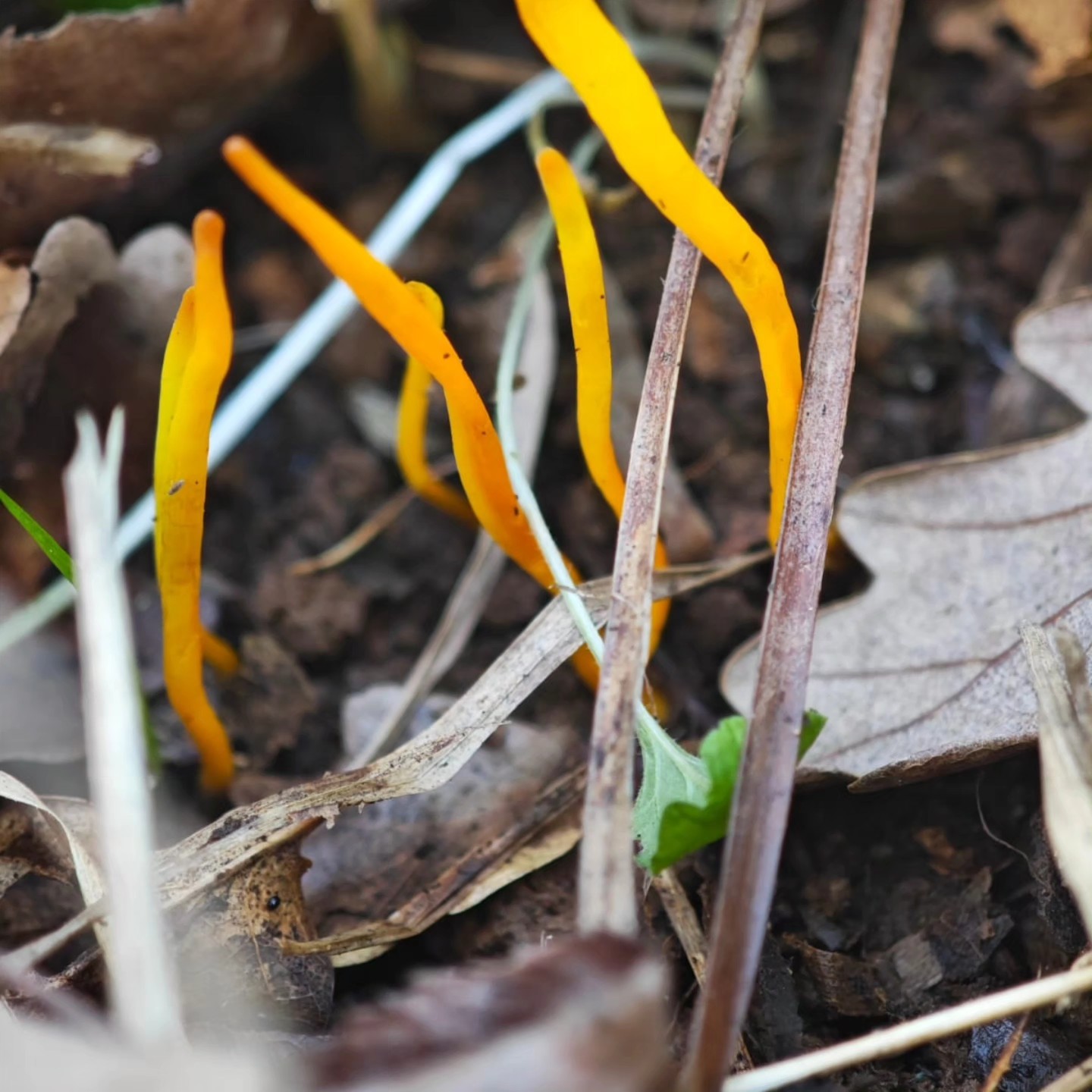 615330075 10226563394505902 2480504835074546394 N