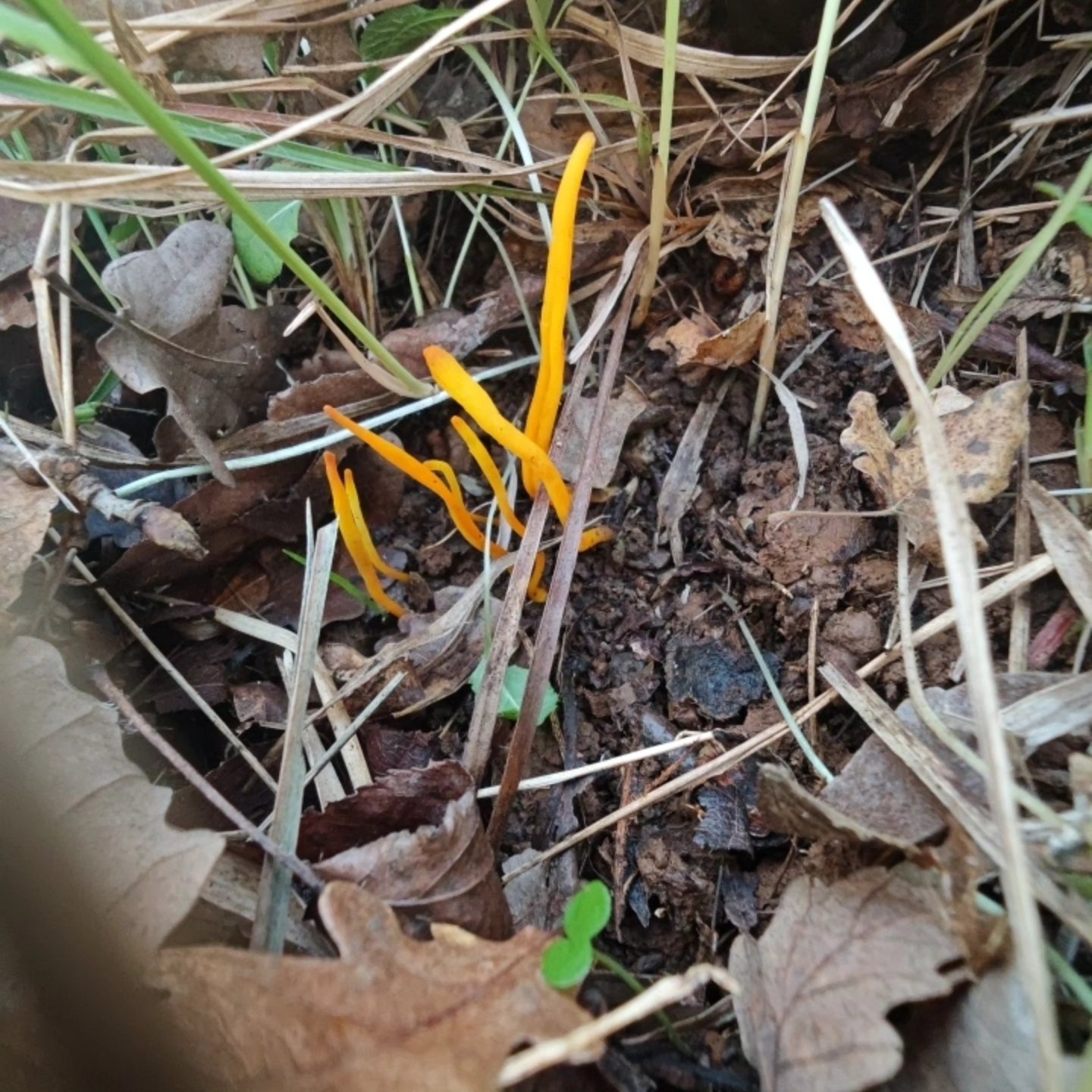 615422841 10226563394465901 168103371041907510 N