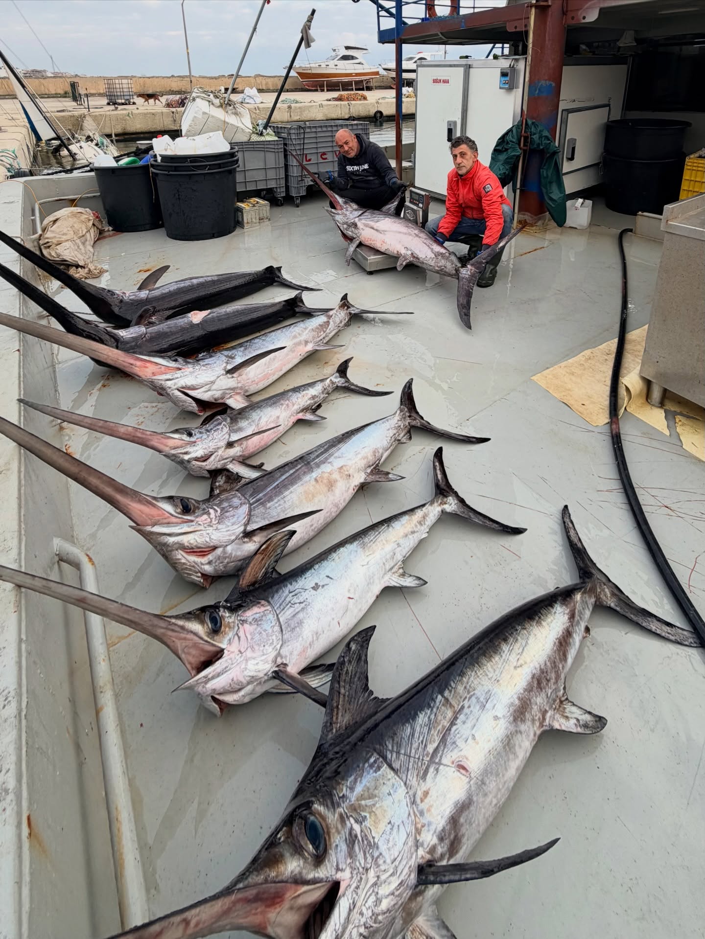 618783210 18439202473109478 2738874641660520452 N