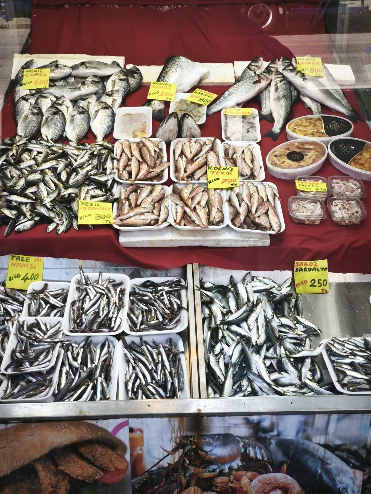 67Dff48F 0E68 47Da 8628 D5B72838Ca23