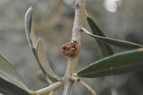 6B9B740E 766C 480C B520 D690Afcbe13F