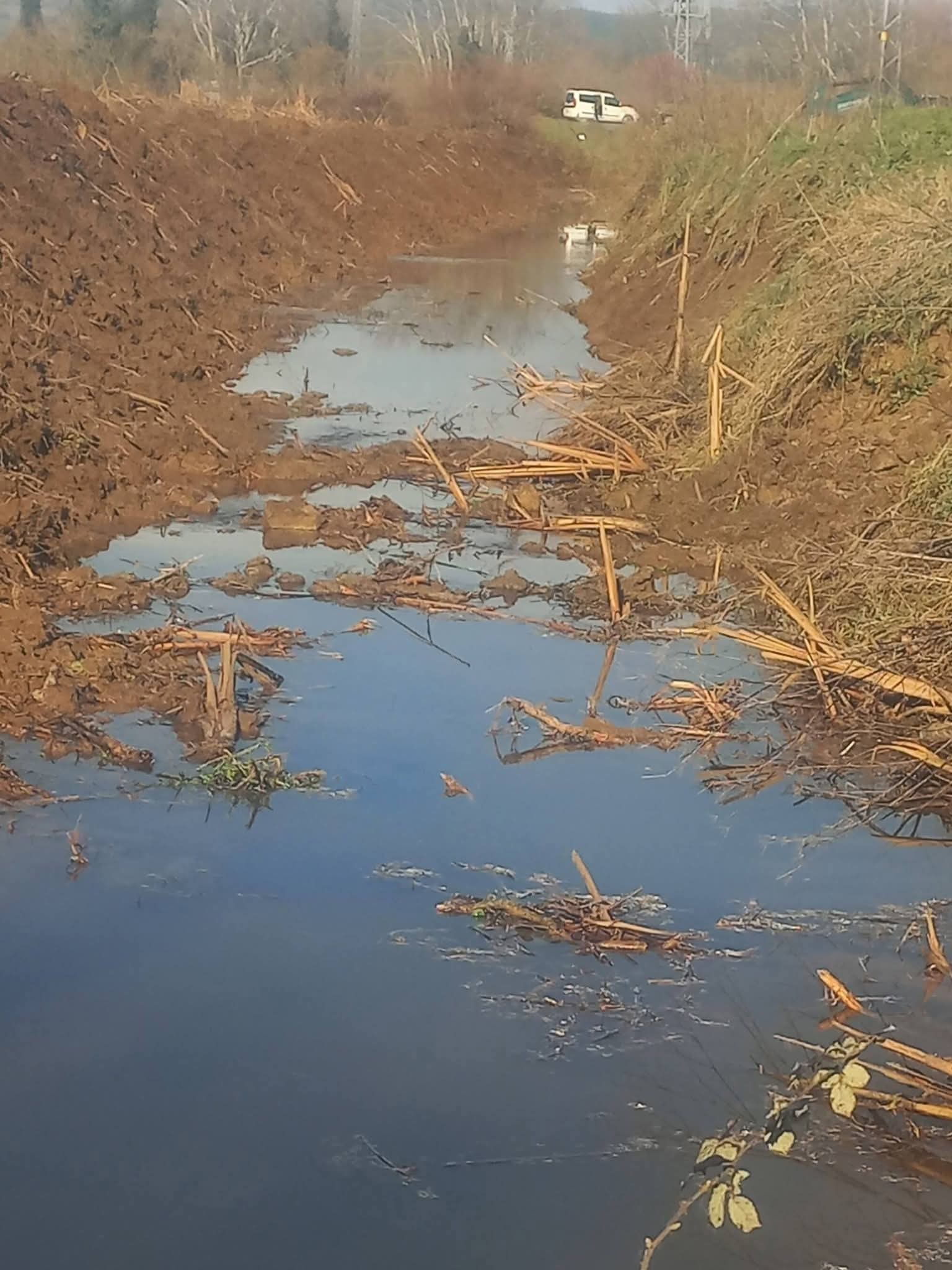 857817Cc 605A 47Aa A09A 2A1Fd285885B-1