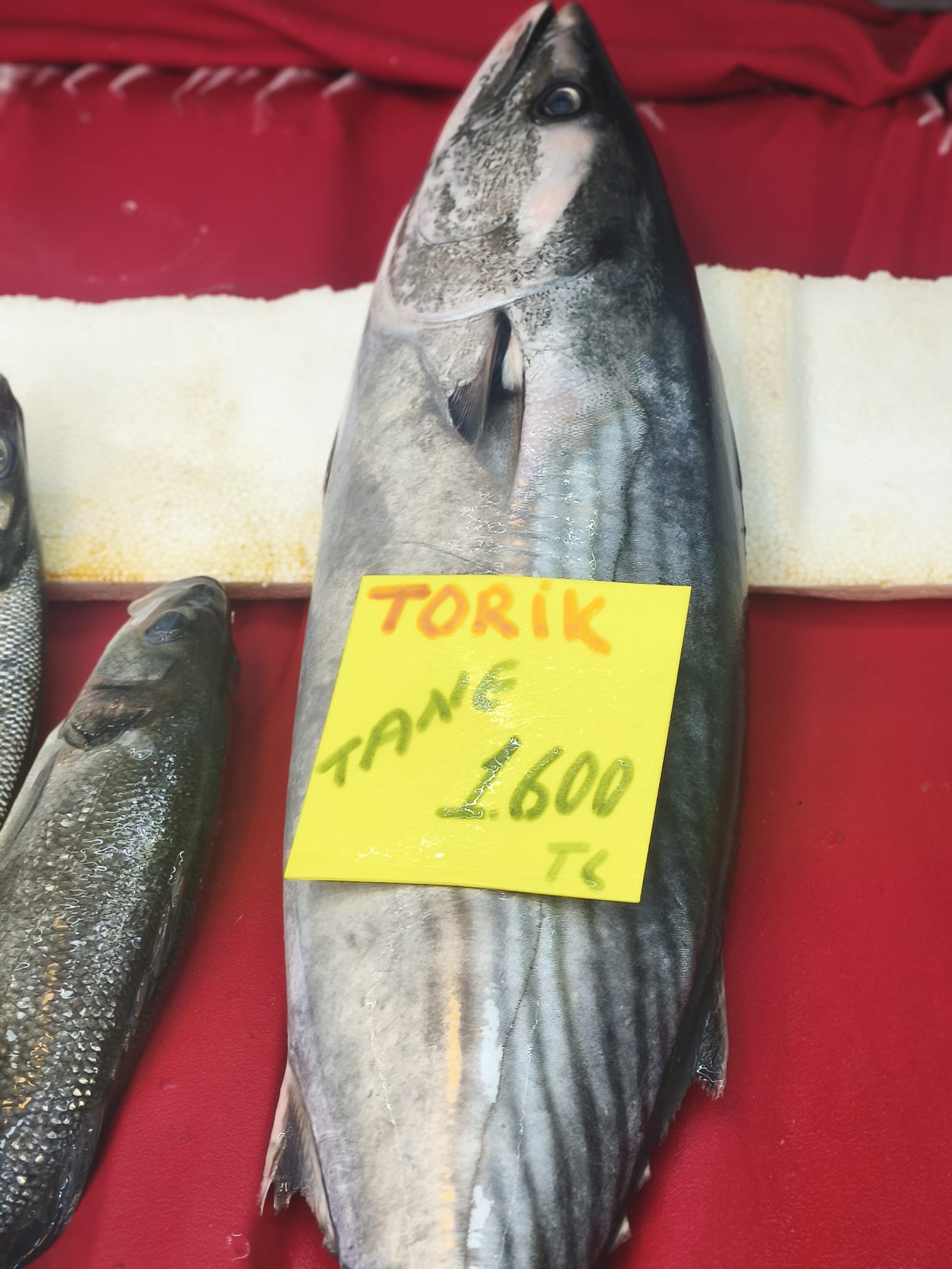 9Bd1C73A Cf2E 465C 9841 2Ec2C403F15C