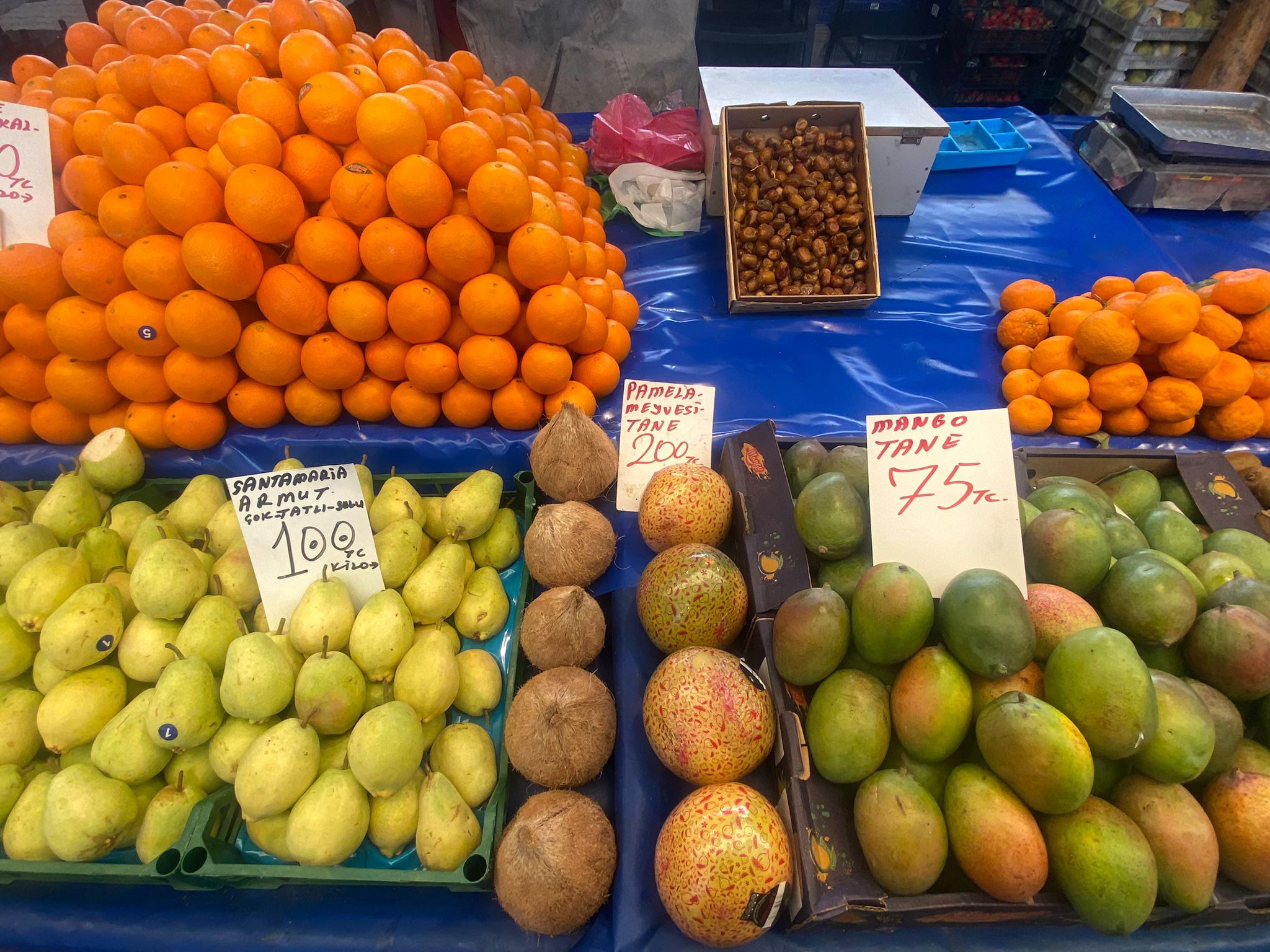 A00203C6 E121 4C38 Bc87 8264B386F235