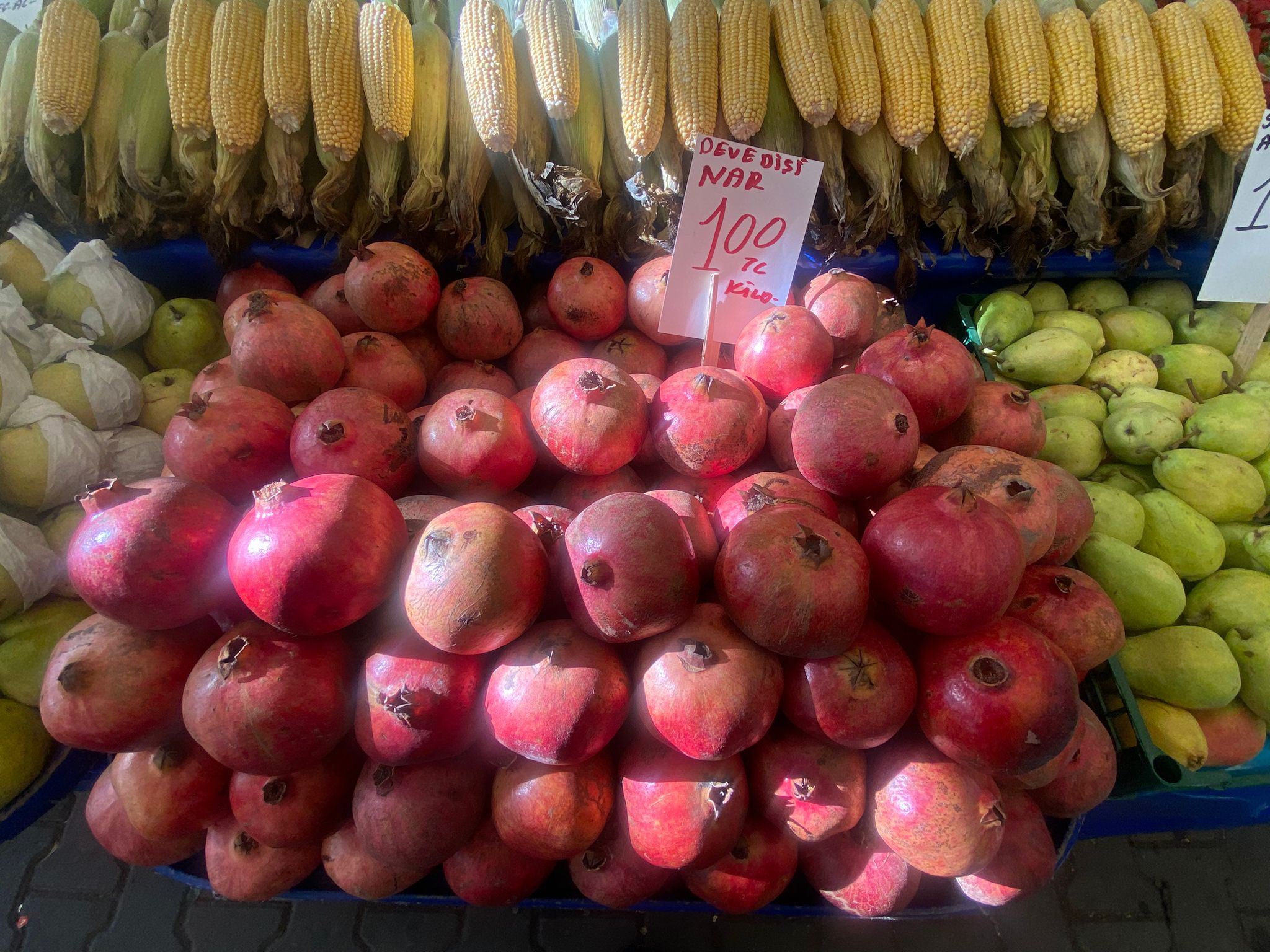 B08F0Da2 Bd49 43B2 8D12 73B944062E23