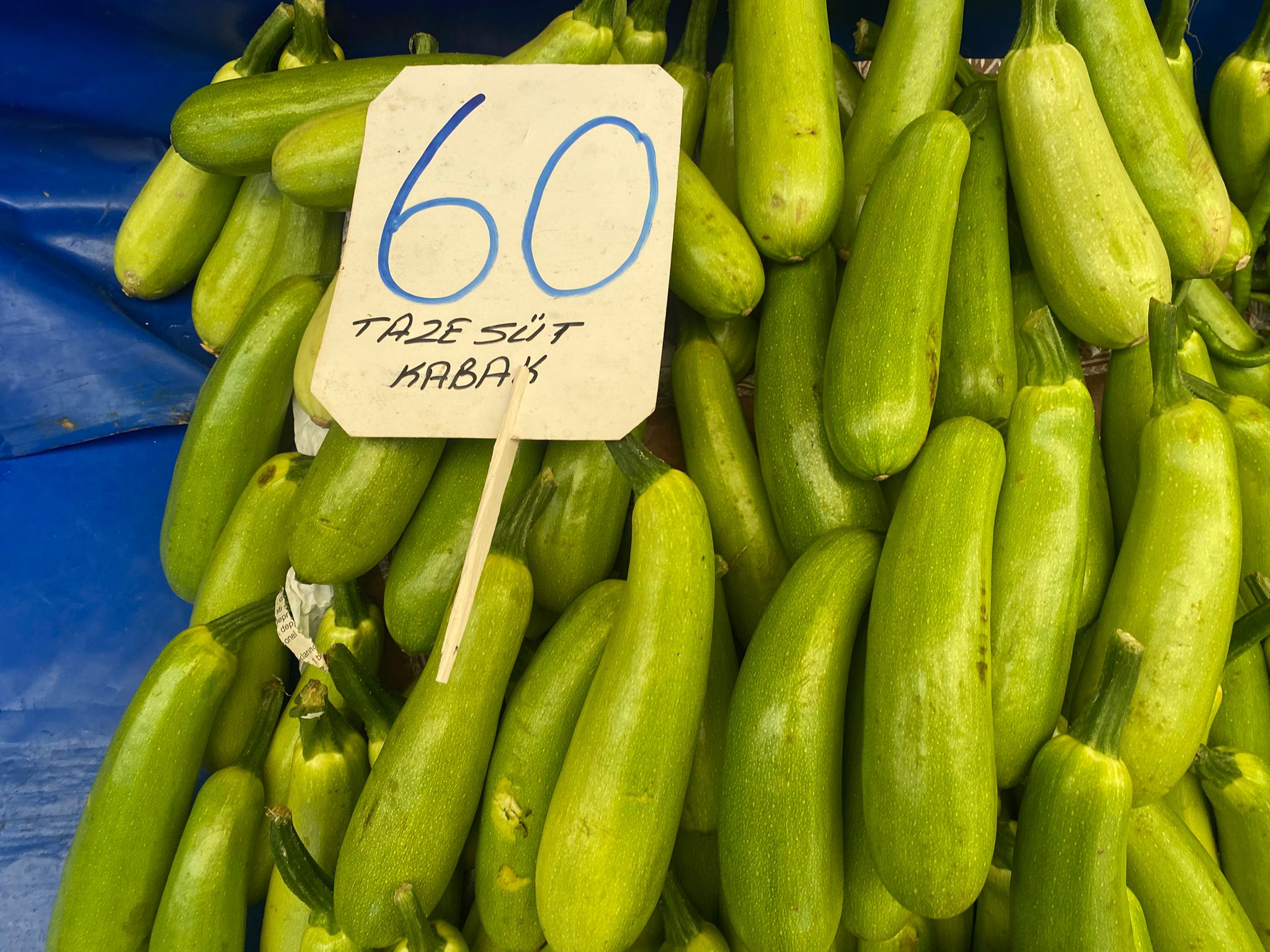 B3F281F5 390A 43Db Abe5 Eb02822Fc9D5