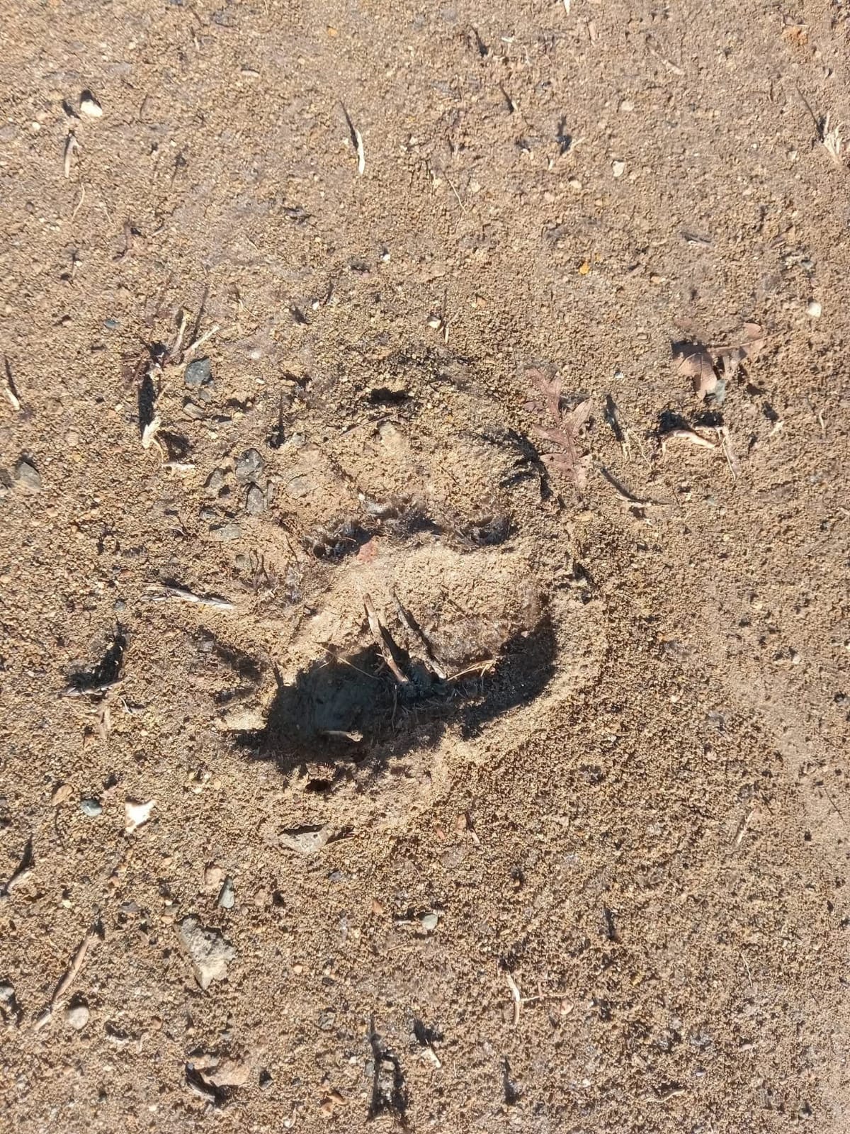 Bcb9911C 6499 44Ae Ace4 E8Eea0C6F3Af