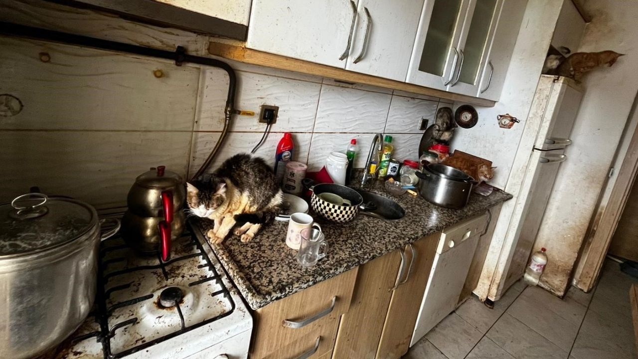 Bir Başlık Ekleyin (1)-564