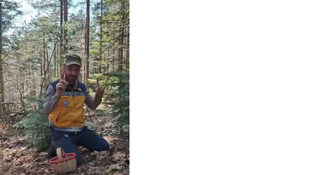 Bir Başlık Ekleyin (1)-616