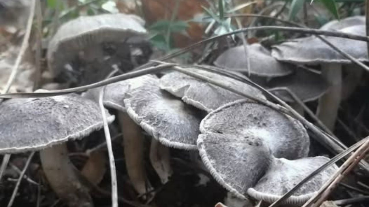 Bir Başlık Ekleyin (1)-630