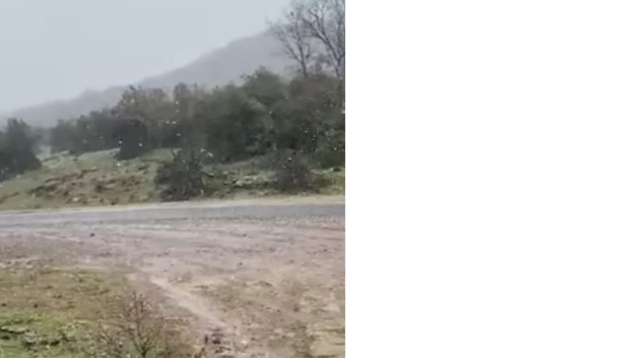 Bir Başlık Ekleyin (12)-91