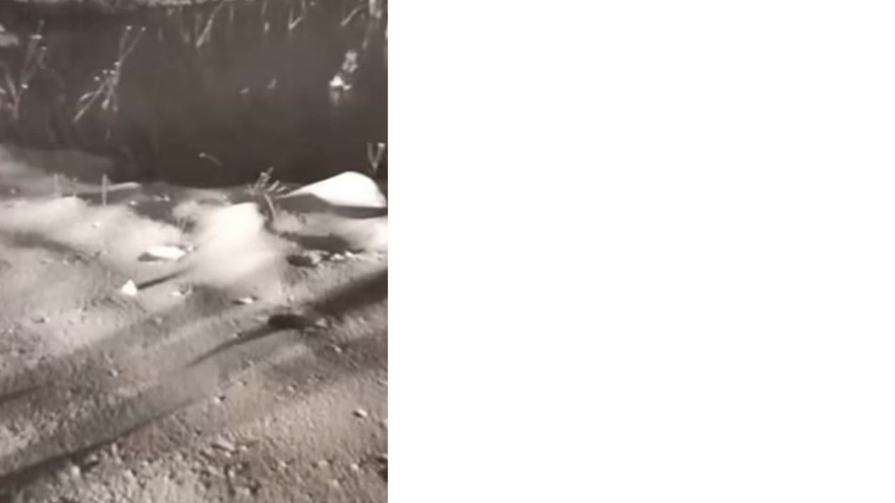 Bir Başlık Ekleyin (2)-422