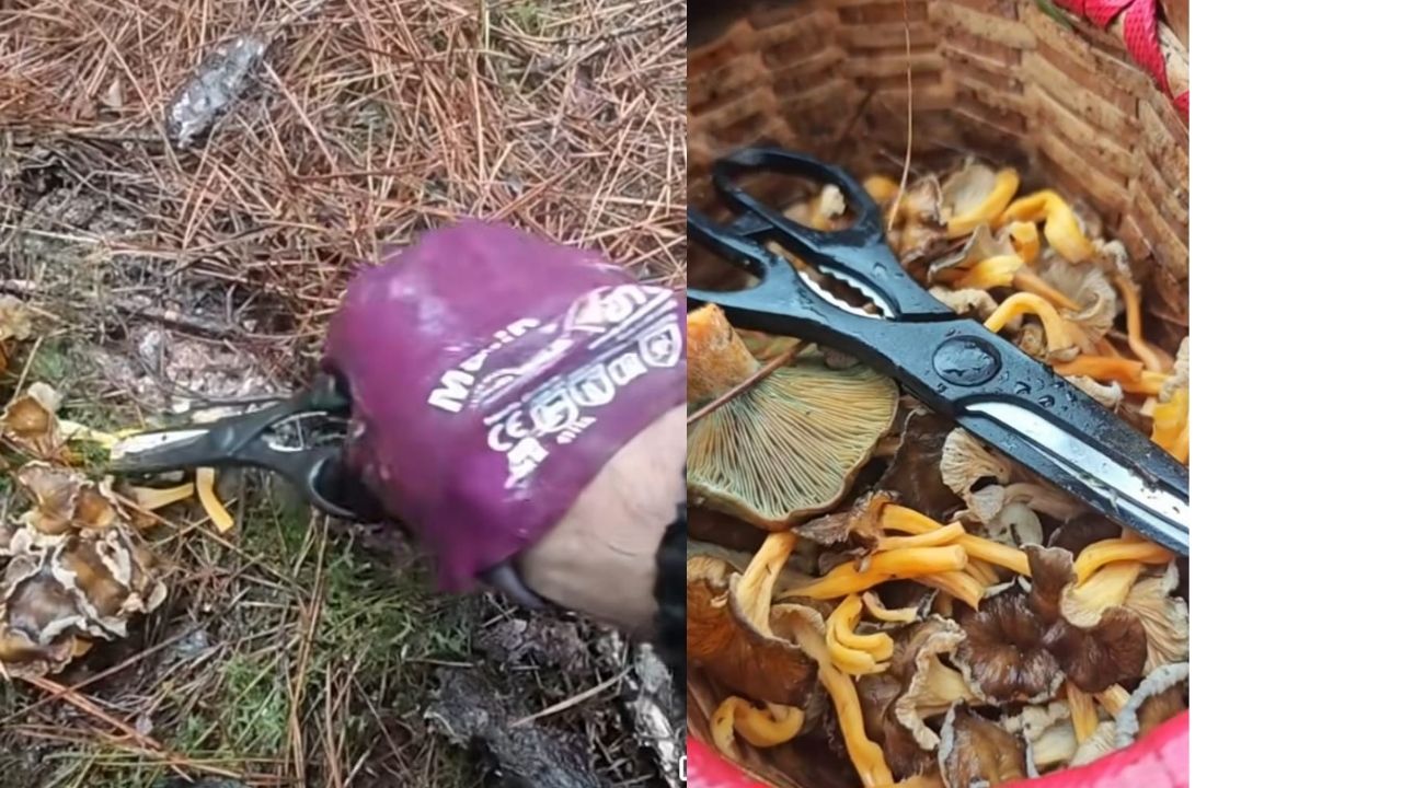 Bir Başlık Ekleyin (2)-425