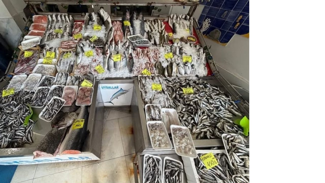 Bir Başlık Ekleyin (2)-443